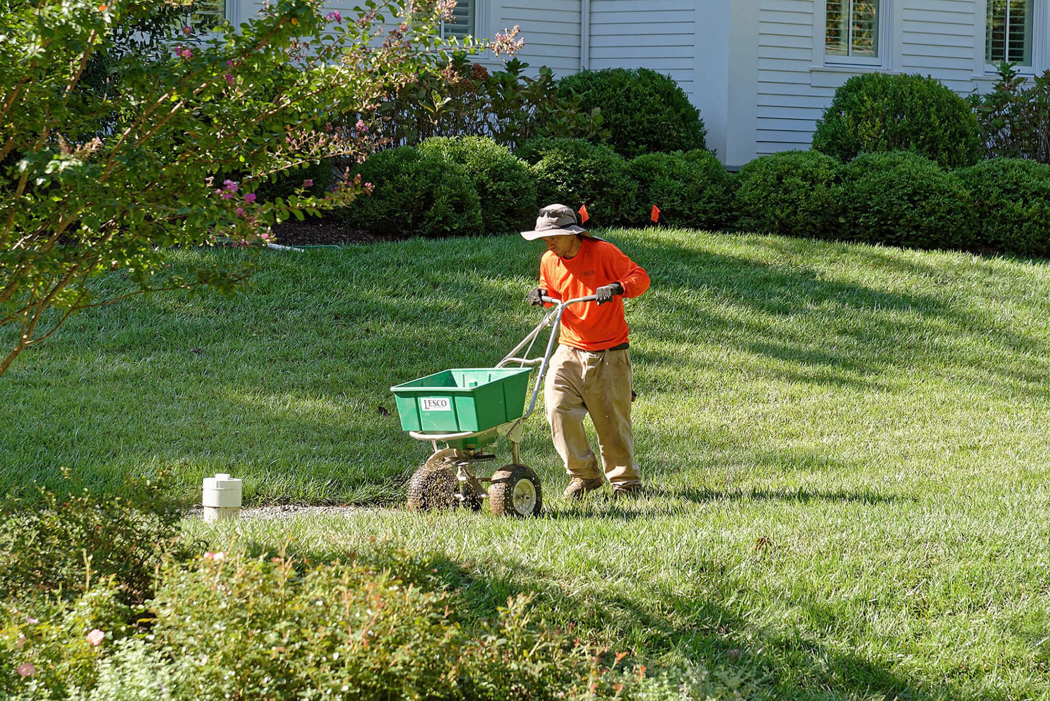 fall lawn care overseeding and aeration