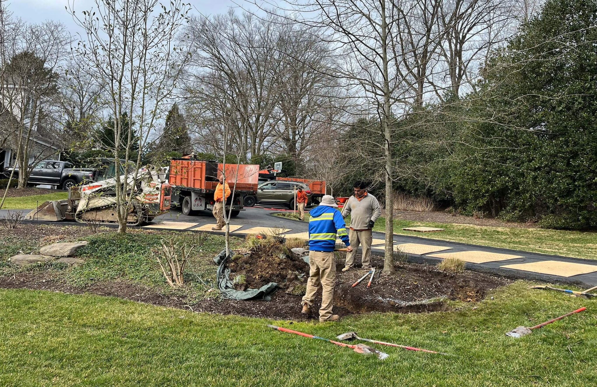 fall yard service-tree planting