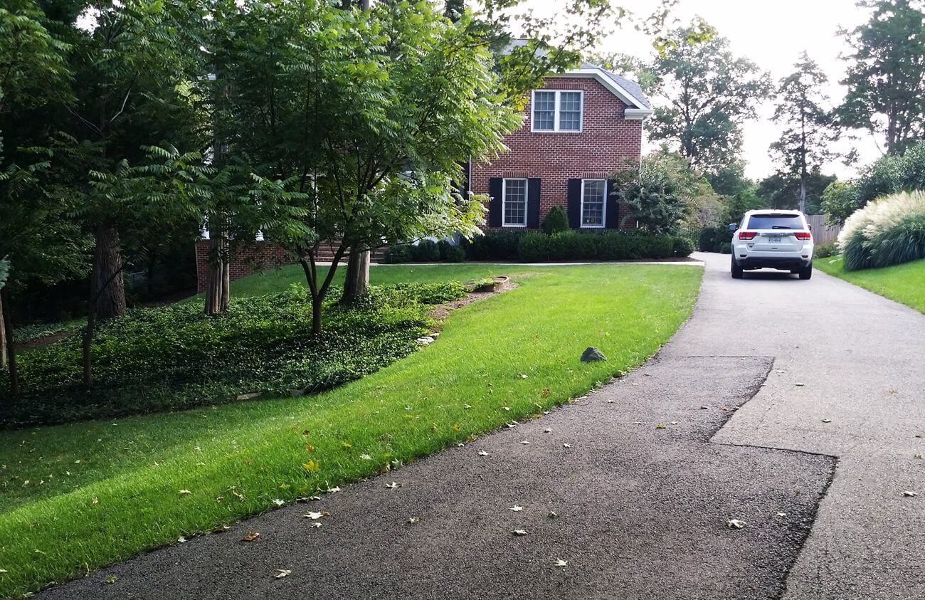 driveway and front landscape BEFORE