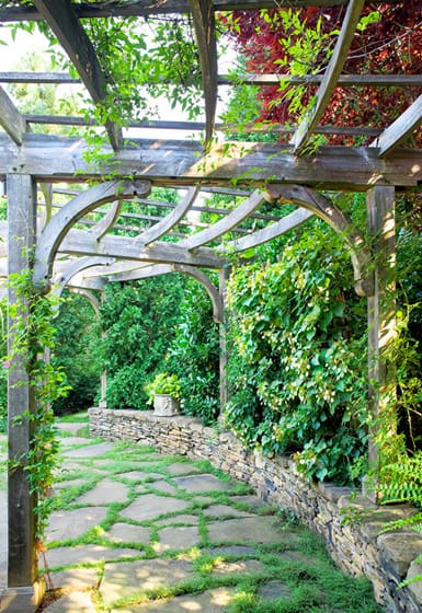 garden by DCA Landscape Architects