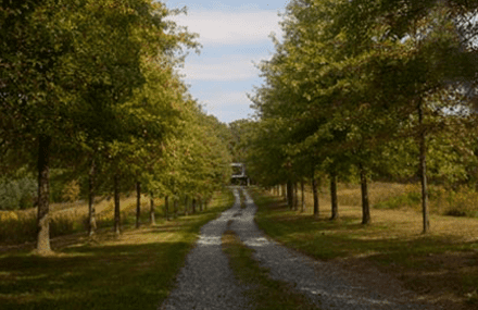 McInturff landscape design master plan precedes home design plan