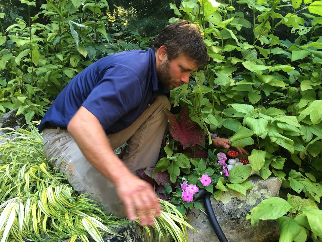 surrounds landscape maintenance director tom kniezewski