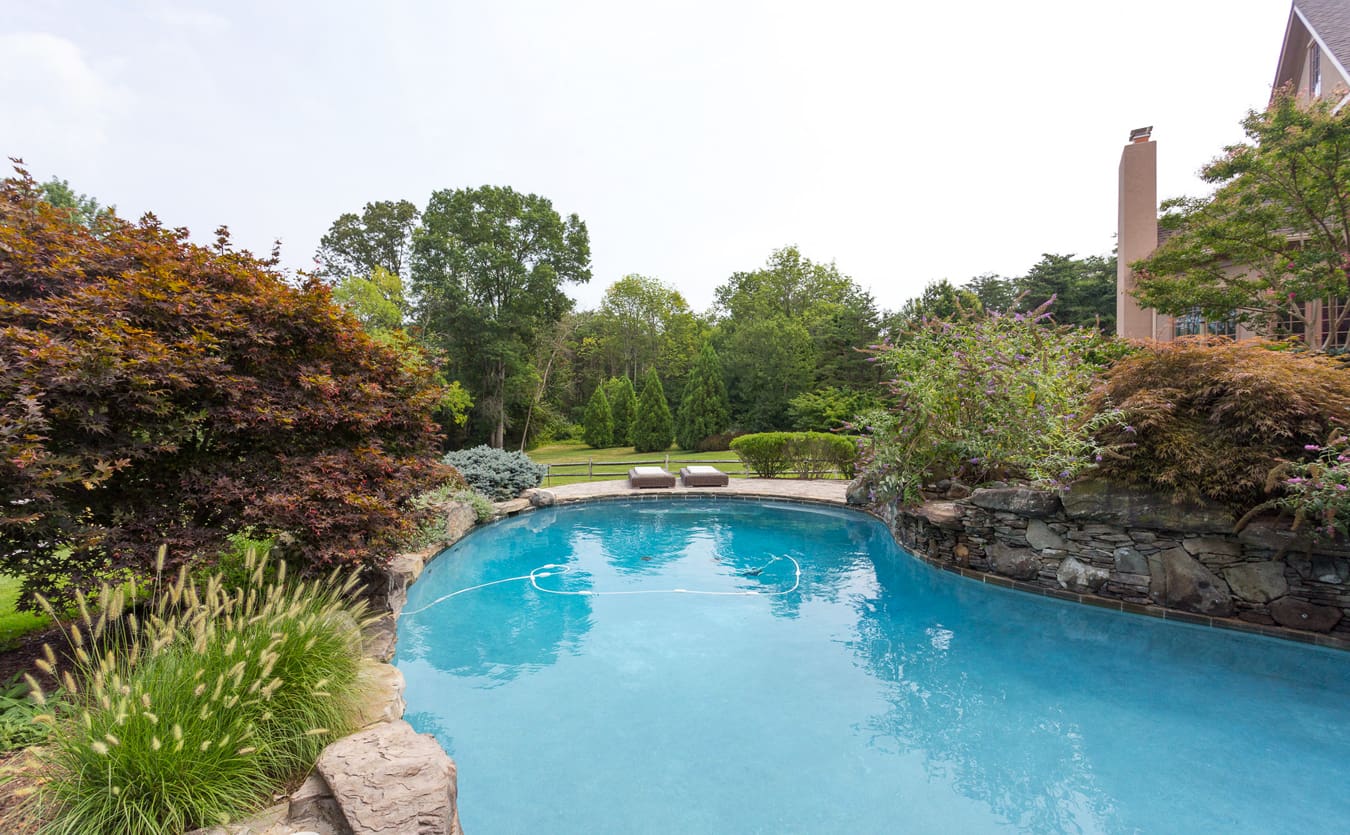 wydler-lagoon-style-pool-great-falls-va