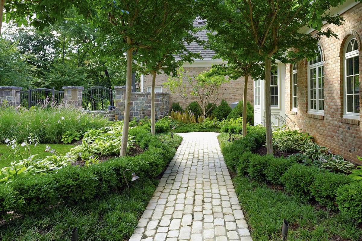 boxwood walkway bed border in allee