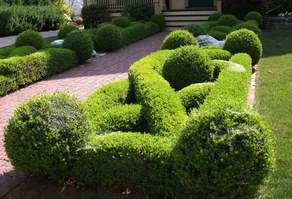 boxwood knot garden