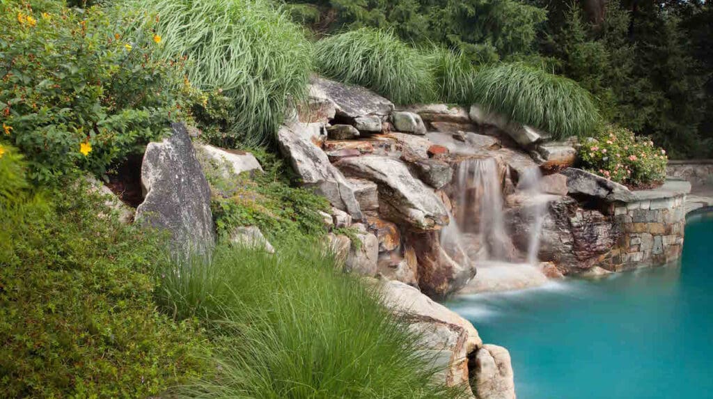 landscape maintenance for wild garden and Waterfall