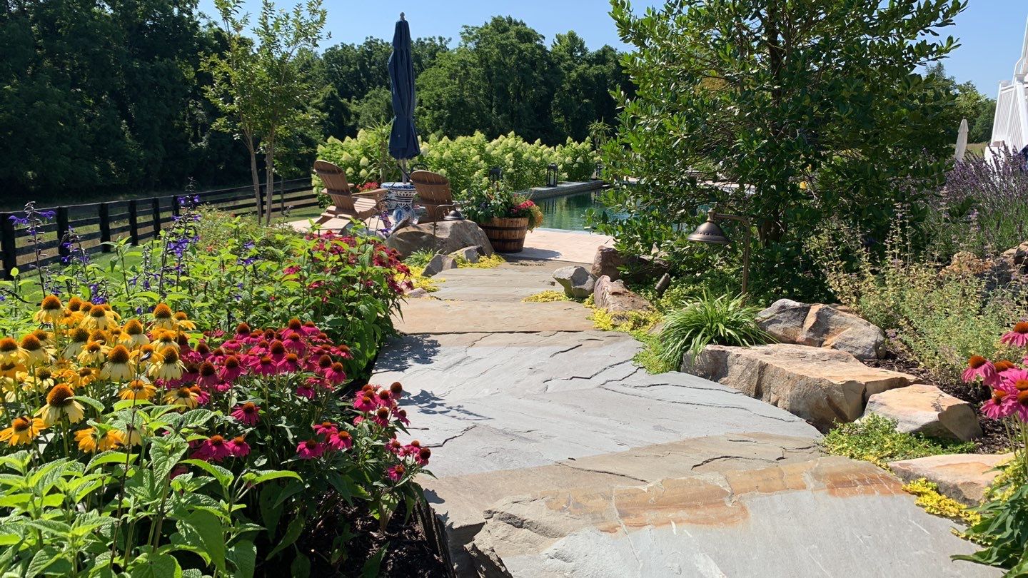rough slab stone garden path bordered by native perennials