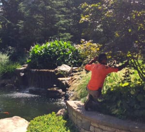 landscape maintenance techniques hand pruning shrubs & trees