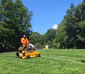 landscape maintenance mowing at proper height