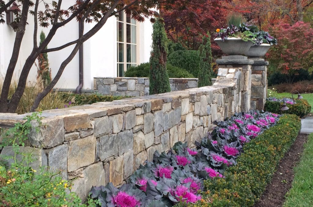 planting bed with ornamental-cabbage-fuchsia
