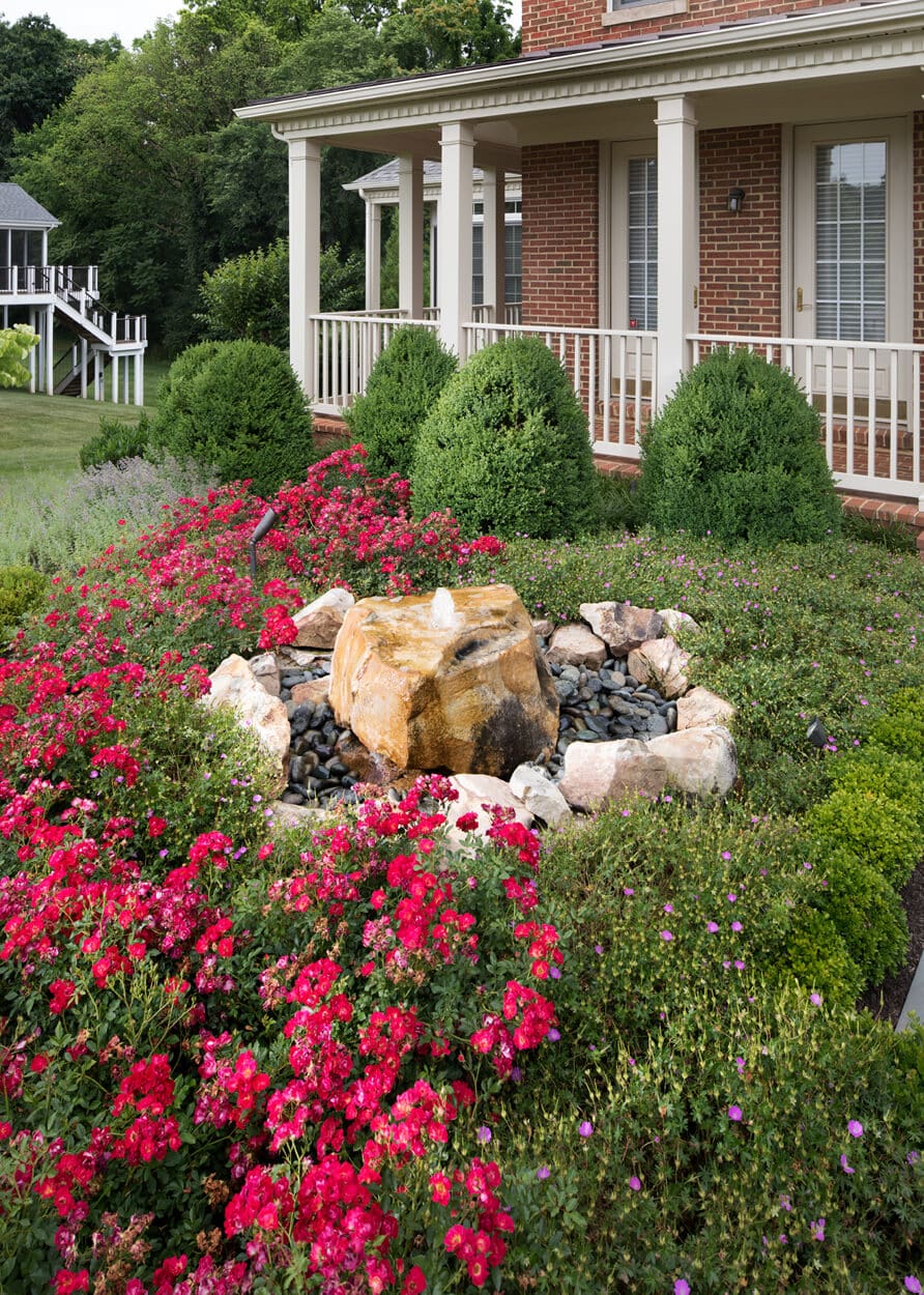 hand pruned front yard landscaping