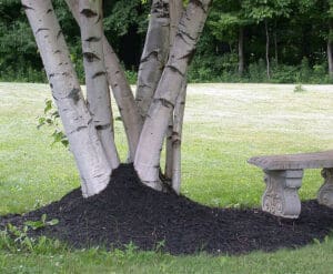 mulch volcanoes are harmful