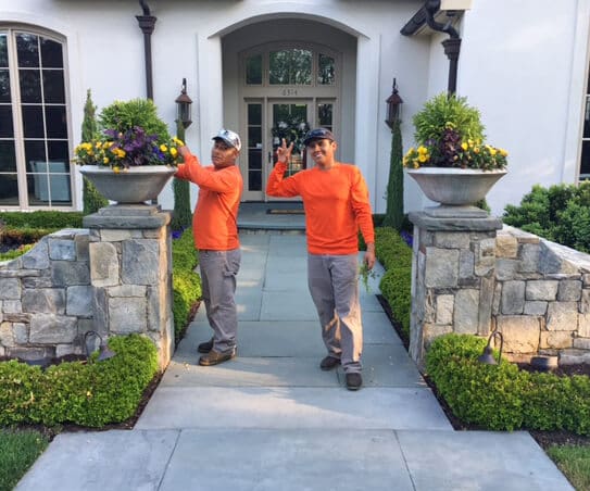 garden maintenance crew tends container plants