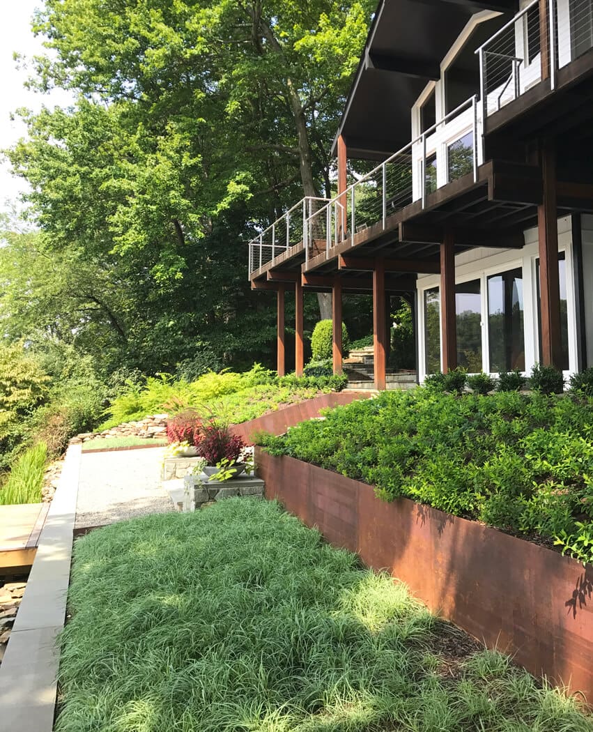 blue zinger sedge in terraced garden