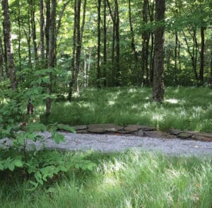pennsylvania sedge career