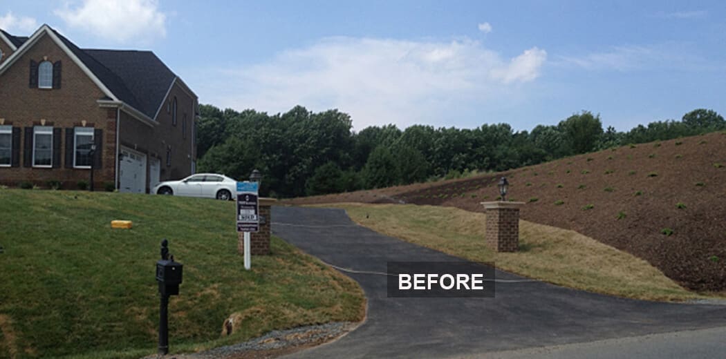 front yard before landscaping