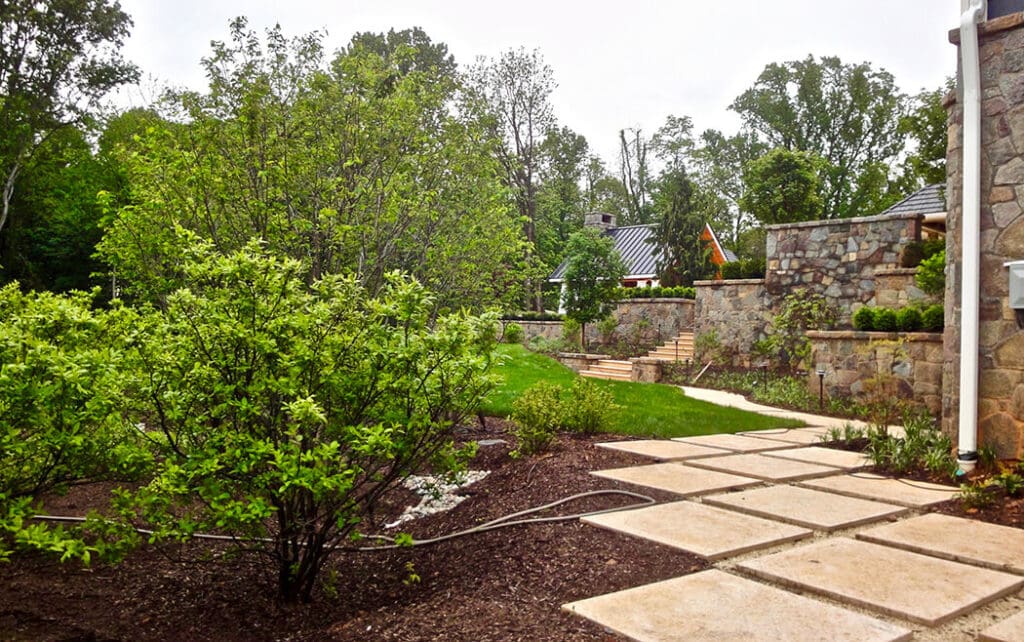 rainwater collection beds