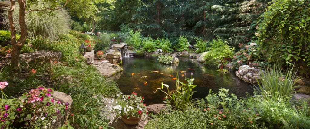 waterfall and pond-in-woodland-setting