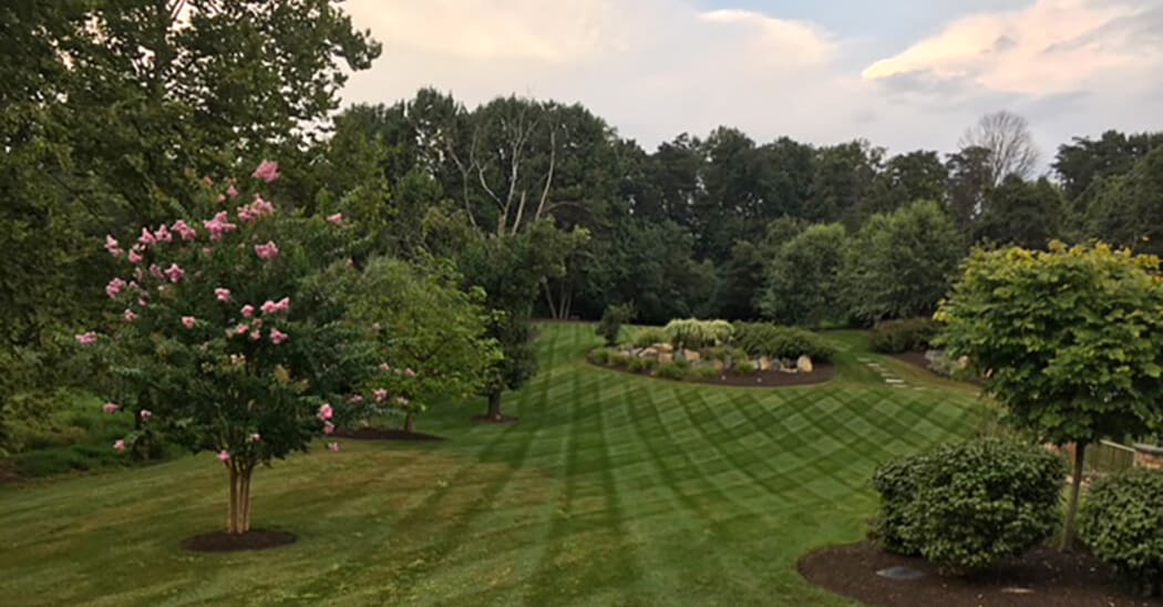 lawn care-expansive backyard