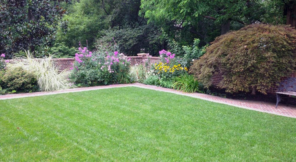 formal style backyard lawn and border plantings