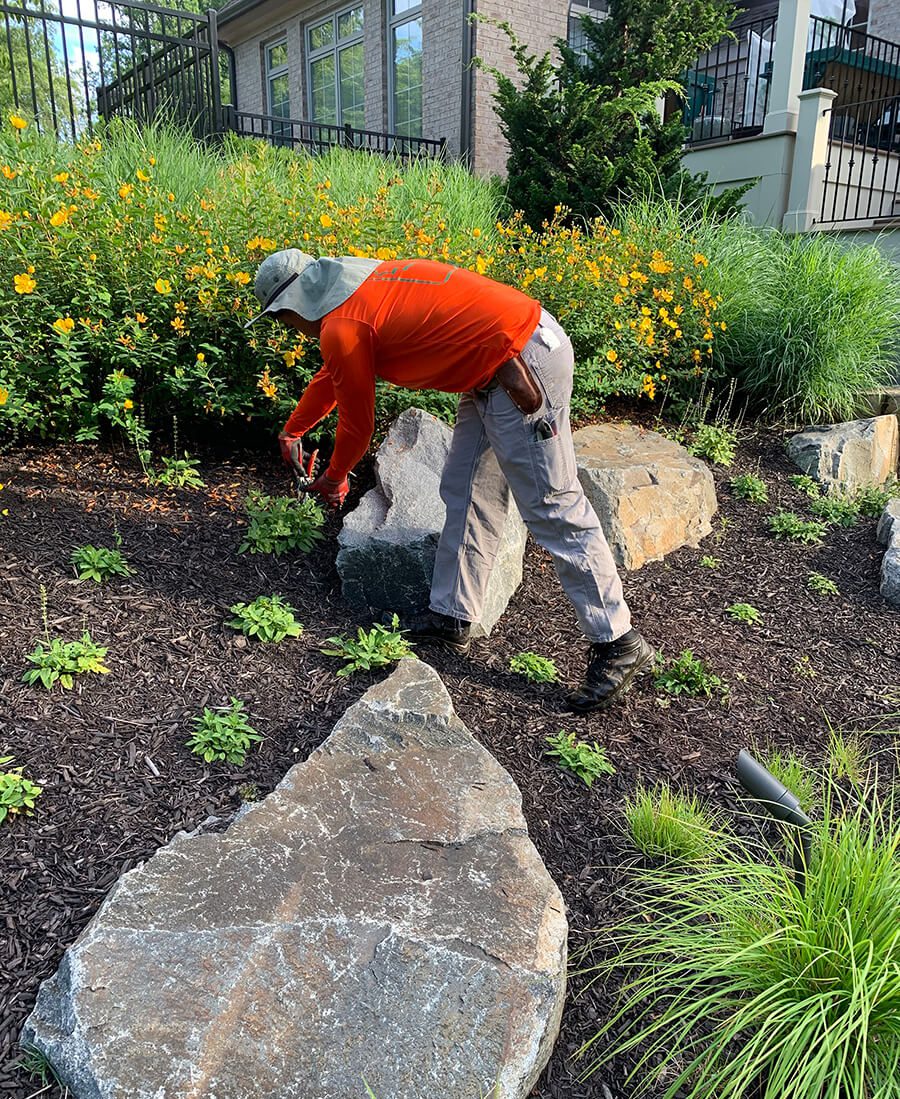 landscaping service technician weeding beds