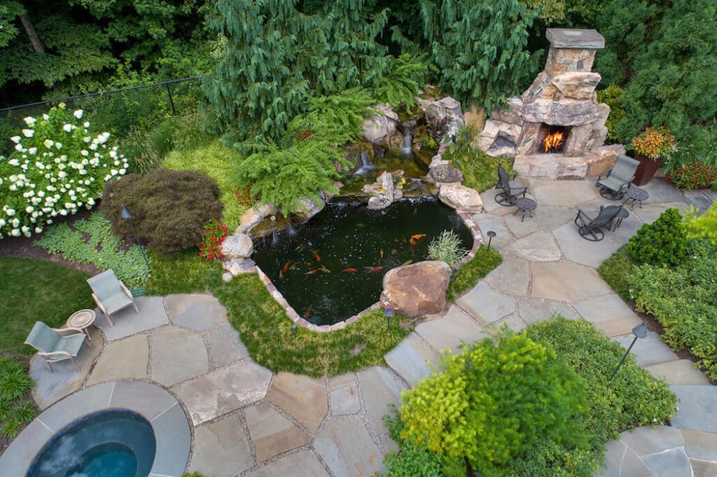 naturalized low maintenance landscape