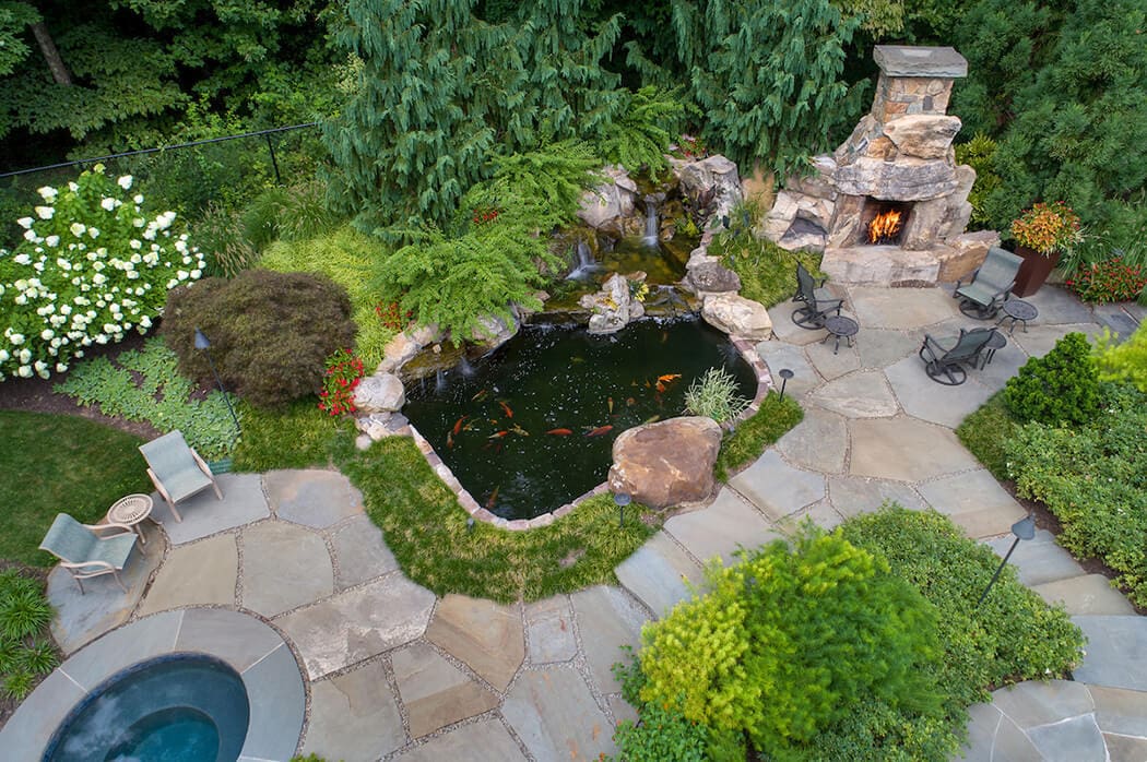 naturalized low maintenance landscape