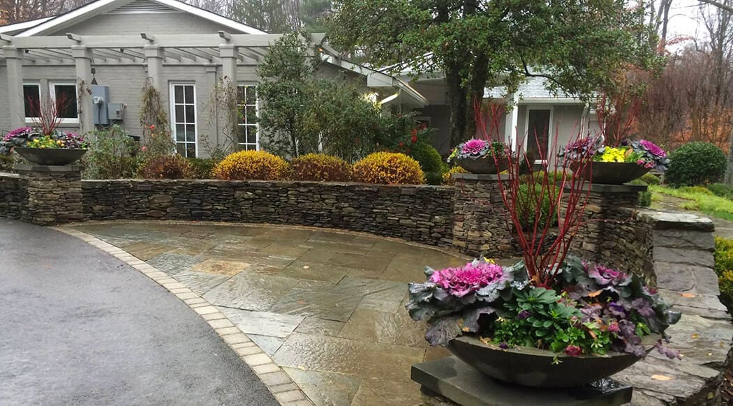 autumn annuals and container displays