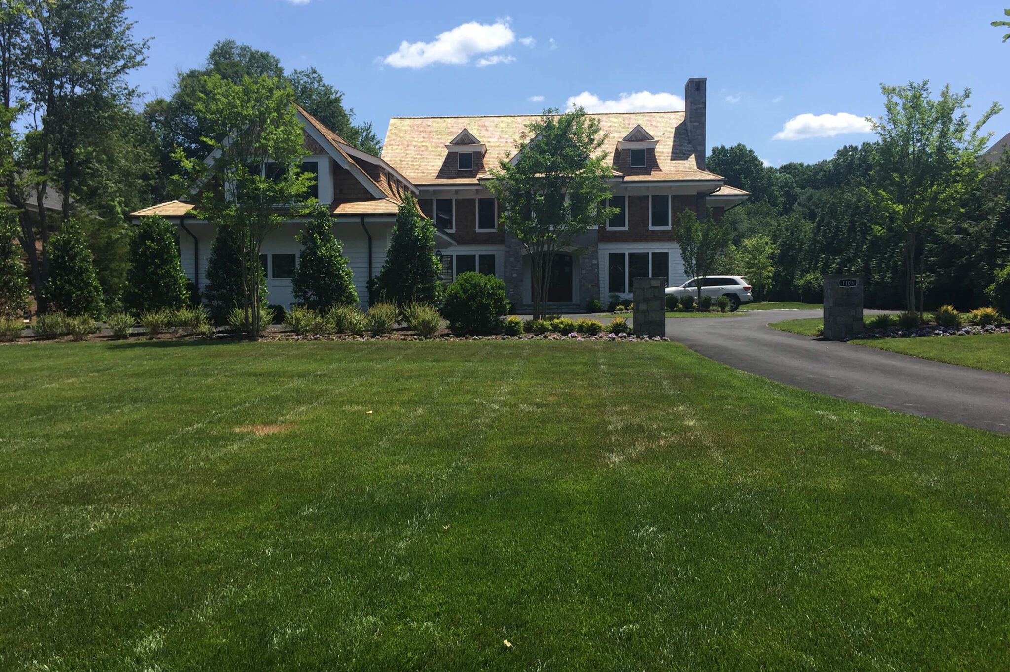 front yard BEFORE privacy landscaping