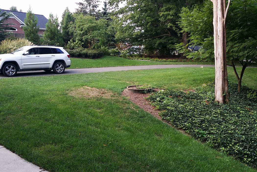 BEFORE driveway redesign