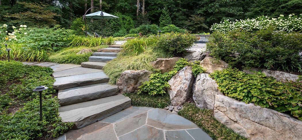 right plant spacing in landscape