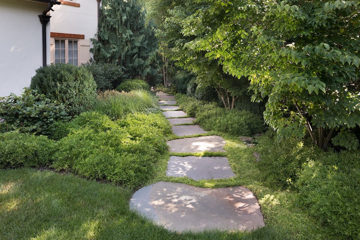 overgrown stepping stone path