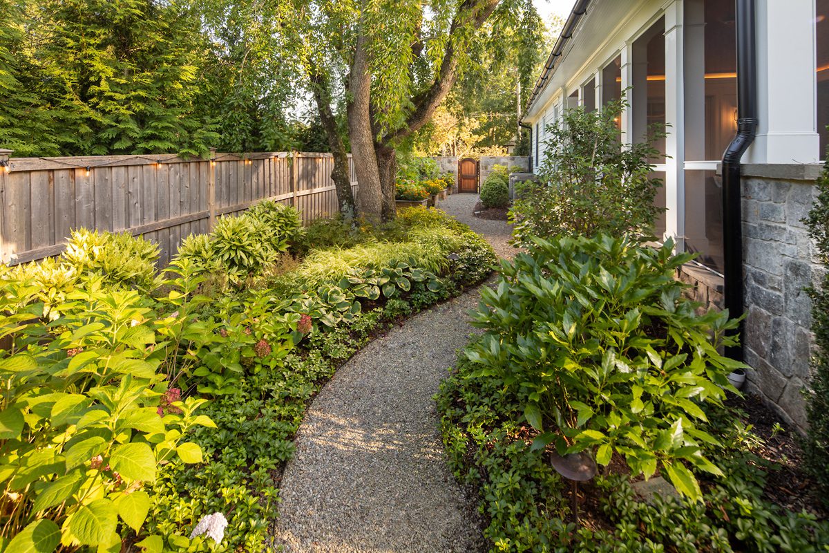 layered plantings ardorn a simple pea gravel path