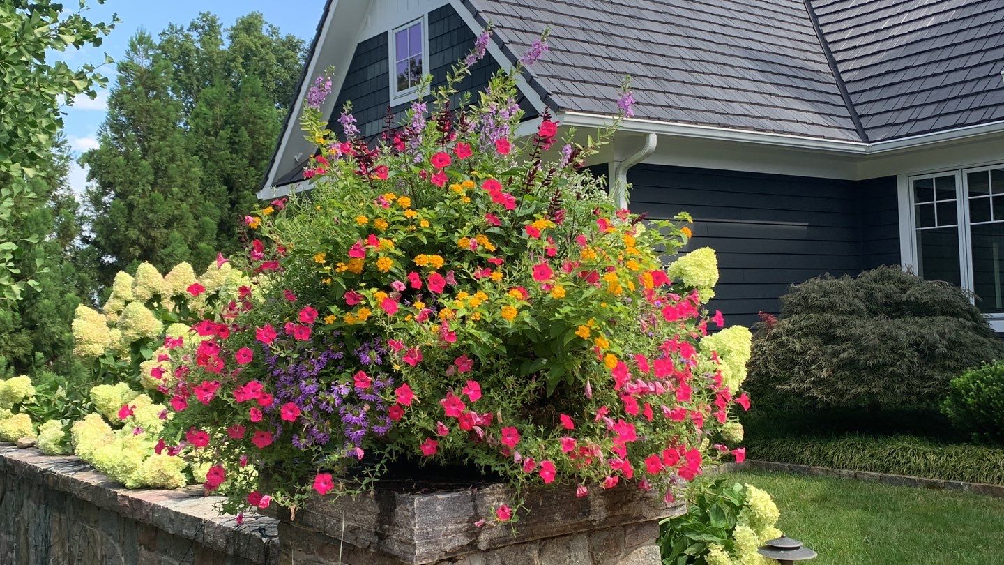 vienna va summer flower display