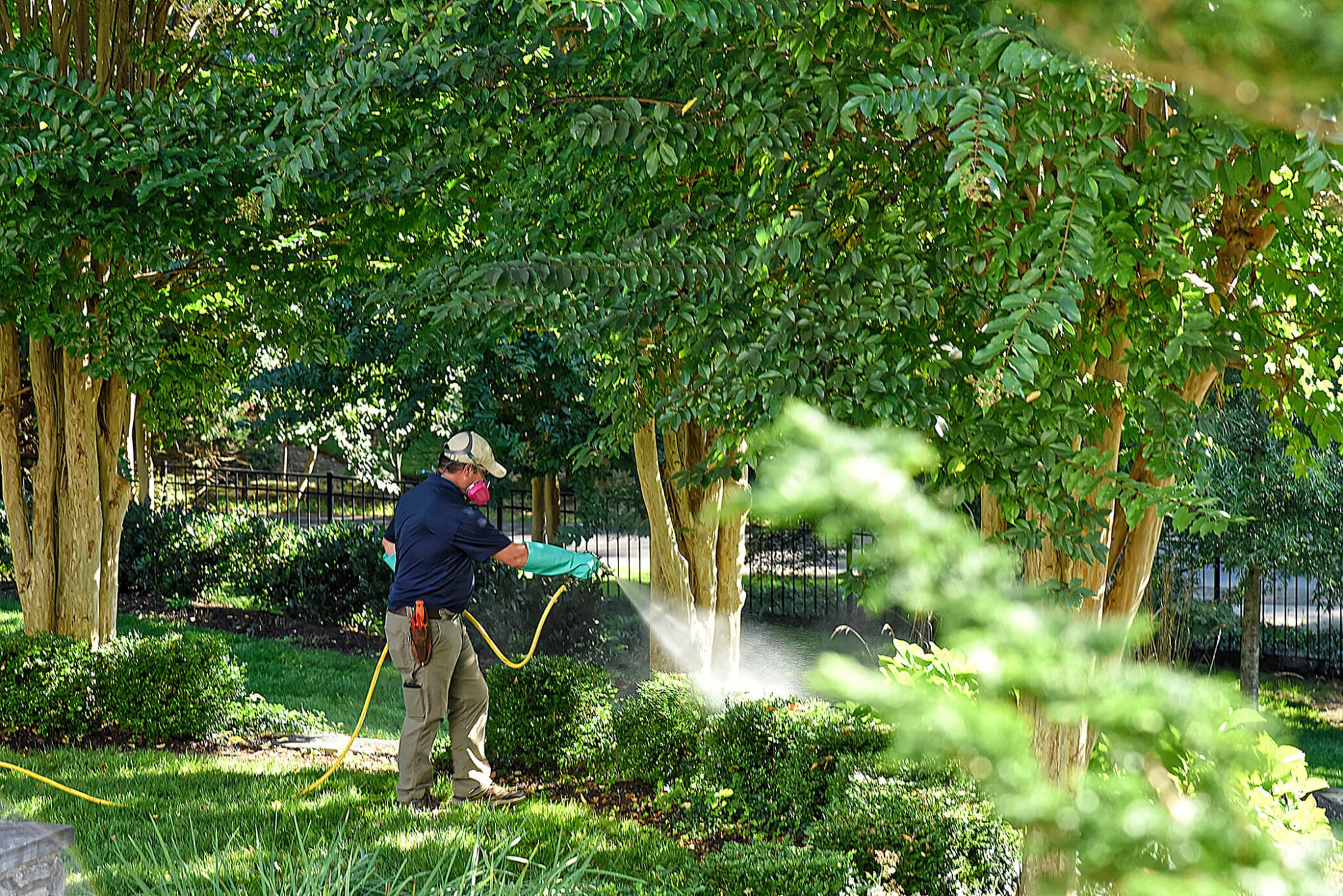 proactive garden pest control
