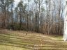 Poburn Woods backyard - before